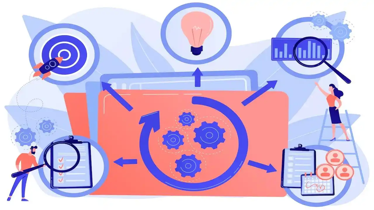 Responsibility of Business Cycle-What are Business Cycle Responsibility-What are the Main Responsibility of a Business Cycle