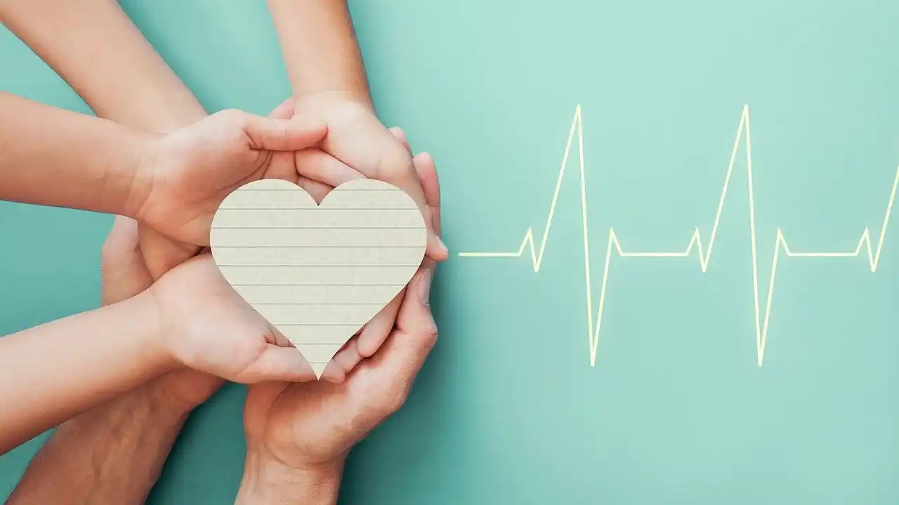 What are the Steps of Insurance-Frequently Asked Questions-What are Insurance Steps