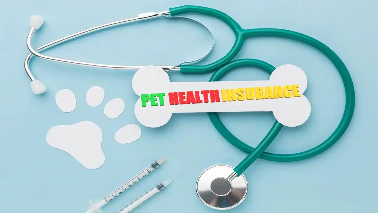 What is Pet Health Insurance Meaning-Definition-Frequently Asked Questions-Examples of Pet Health Insurance Coverage