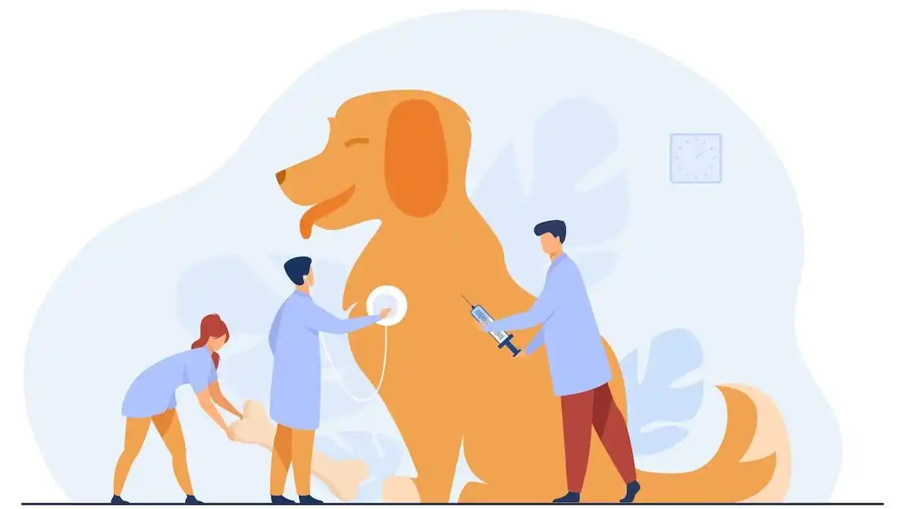 What is Pet Insurance Meaning-Definition-Frequently Asked Questions-Examples of Pet Insurance Coverage