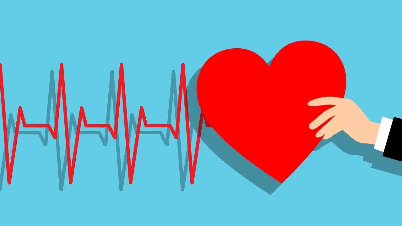 What is the Classification of Life Insurance-Frequently Asked Questions-What is Life Insurance Classification