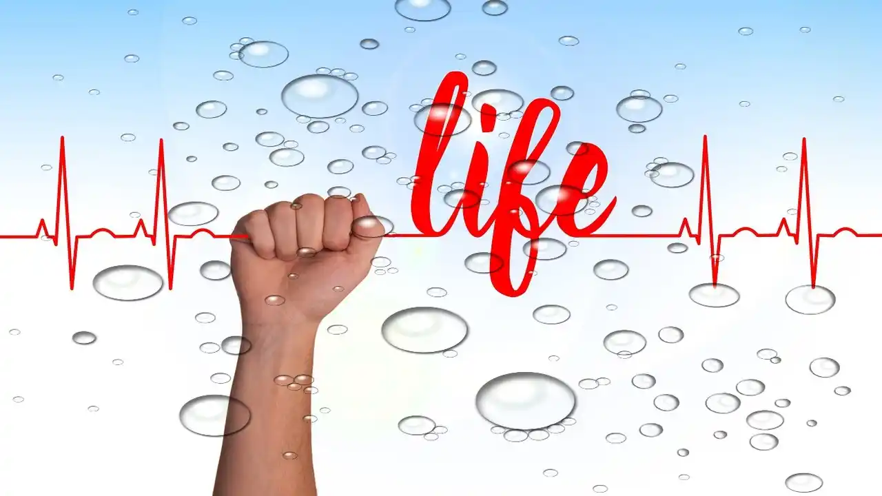 What is the Role of Life Insurance-Frequently Asked Questions-What is Life Insurance Role